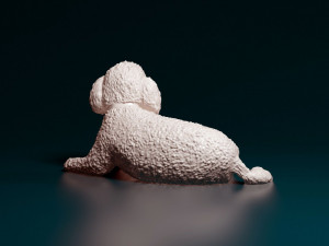 Toy Poodle lying down Model do druku 3D