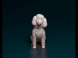 Caniche Toy sentado Modelo de impresión 3D