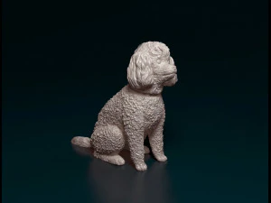 Toy Poodle sitting 3D Print Model