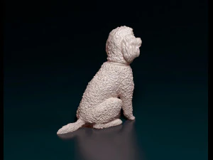 Toy Poodle sitting 3D Print Model
