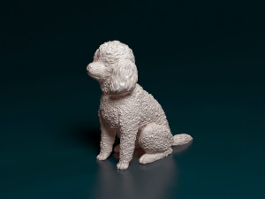 Toy Poodle sitting Modelo de Impressão 3D
