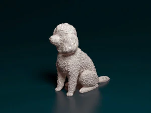 Toy Poodle sitting 3D Print Model