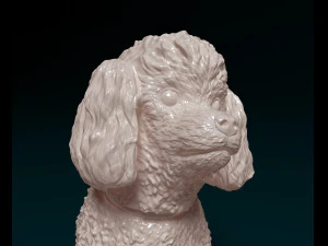 Toy Poodle sitting 3D Print Model