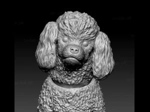 Toy Poodle sitting 3D Print Model