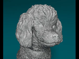 Toy Poodle sitting 3D Print Model