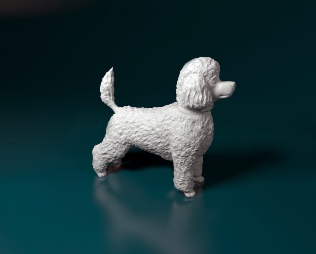 Toy Poodle 3D 프린트 모델 .c4d .max .obj .3ds .fbx .stl .blend 