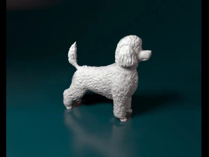Toy Poodle 3D Print Model