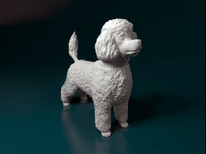 Oyuncak Kaniş 3D Baskı Modeli
