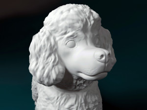 Toy Poodle 3D 프린트 모델