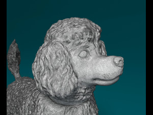 Toy Poodle 3D 프린트 모델