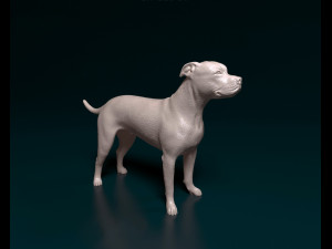 Staffordshire bull terrier x American bulldog 3D Print Model