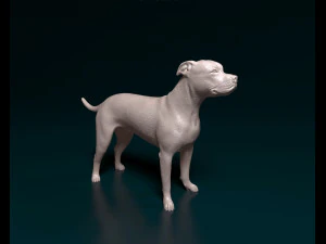 Стаффордширский бультерьер х Американский бульдог 3D Принт Модель