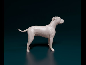 Staffordshire bull terrier x American bulldog Modelo de Impressão 3D