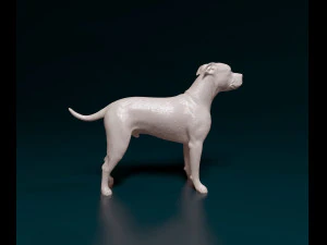 Staffordshire bull terrier x American bulldog 3D Print Model