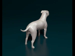 Staffordshire bull terrier x American bulldog 3D Print Model