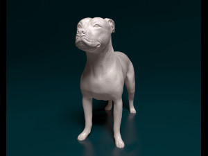 Staffordshire bull terrier x American bulldog Modelo de Impressão 3D