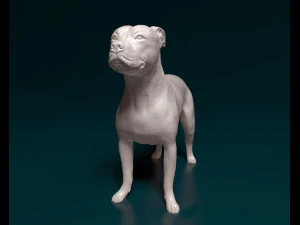 Staffordshire bull terrier x American bulldog 3D Print Model