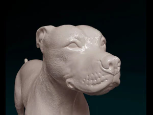 Staffordshire bull terrier x American bulldog 3D Print Model