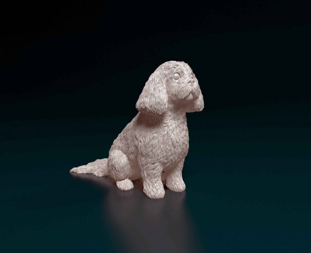 Shih Tzu sitting 3D-printmodel .c4d .max .obj .3ds .fbx .stl .blend 