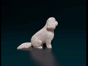 Shih Tzu sitting 3D-printmodel