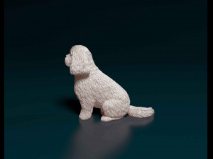 Shih Tzu sitting 3D-printmodel