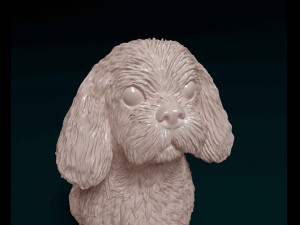 Shih Tzu sitting 3D-printmodel