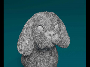 Shih Tzu sitting 3D-printmodel