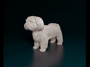 Shih Tzu Modelo de Impressão 3D