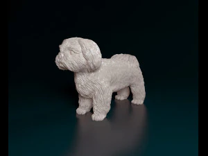 Shih Tzu 3D Print Model