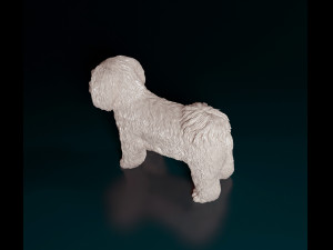 Shih Tzu Modelo de Impressão 3D