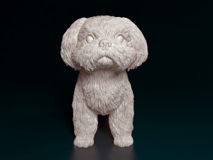 Shih Tzu Modelo de Impressão 3D