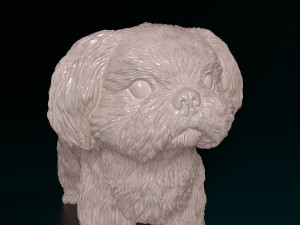 Shih Tzu Modelo de Impressão 3D