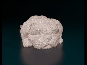Shih Tzu lying down 3D Print Model