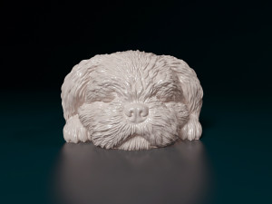 Shih Tzu lying down 3D Print Model