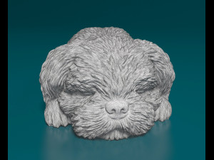 Shih Tzu lying down 3D Print Model