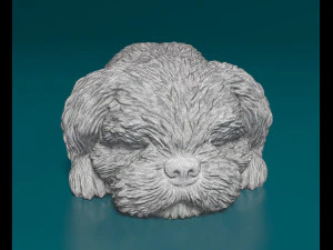 Shih Tzu lying down 3D Print Model