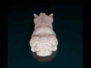 Shih Tzu lying down 3D Print Model