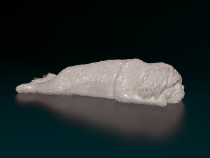 Shih Tzu lying down 3D Print Model
