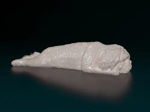 Shih Tzu lying down 3D Print Model