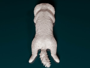 Shih Tzu lying down 3D Print Model