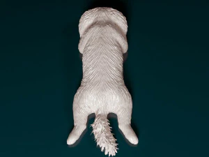 Shih Tzu lying down 3D Print Model