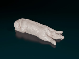 Shih Tzu lying down 3D Print Model