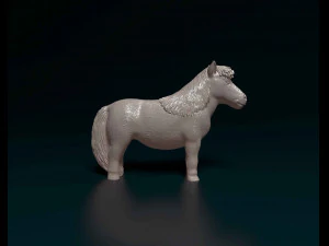 Shetland Pony 3D Print Model