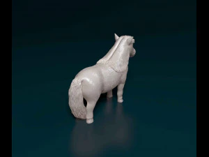 Shetland Pony 3D Print Model
