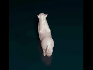 Shetland Pony 3D Print Model
