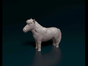 Shetland Pony 3D Print Model
