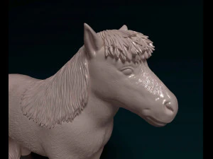 Shetland Pony 3D Print Model