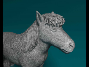 Shetland Pony 3D Print Model
