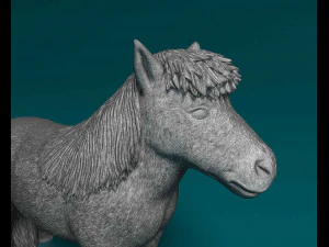 Shetland Pony 3D Print Model