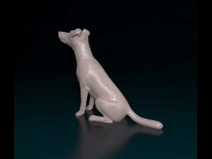 Smooth Fox terrier sitting 3D Print Model